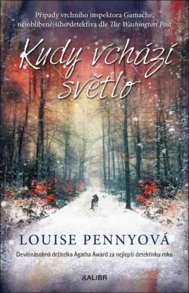Kudy vchází světlo Louise Penny intrigue psychologique et mystère
