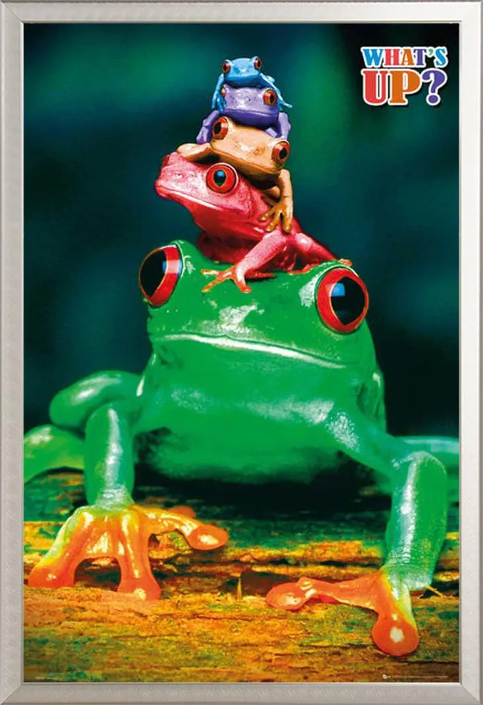 Cadre Photo Argenté 61x91,5 avec Poster Frogs : Déco Murale sans Risque