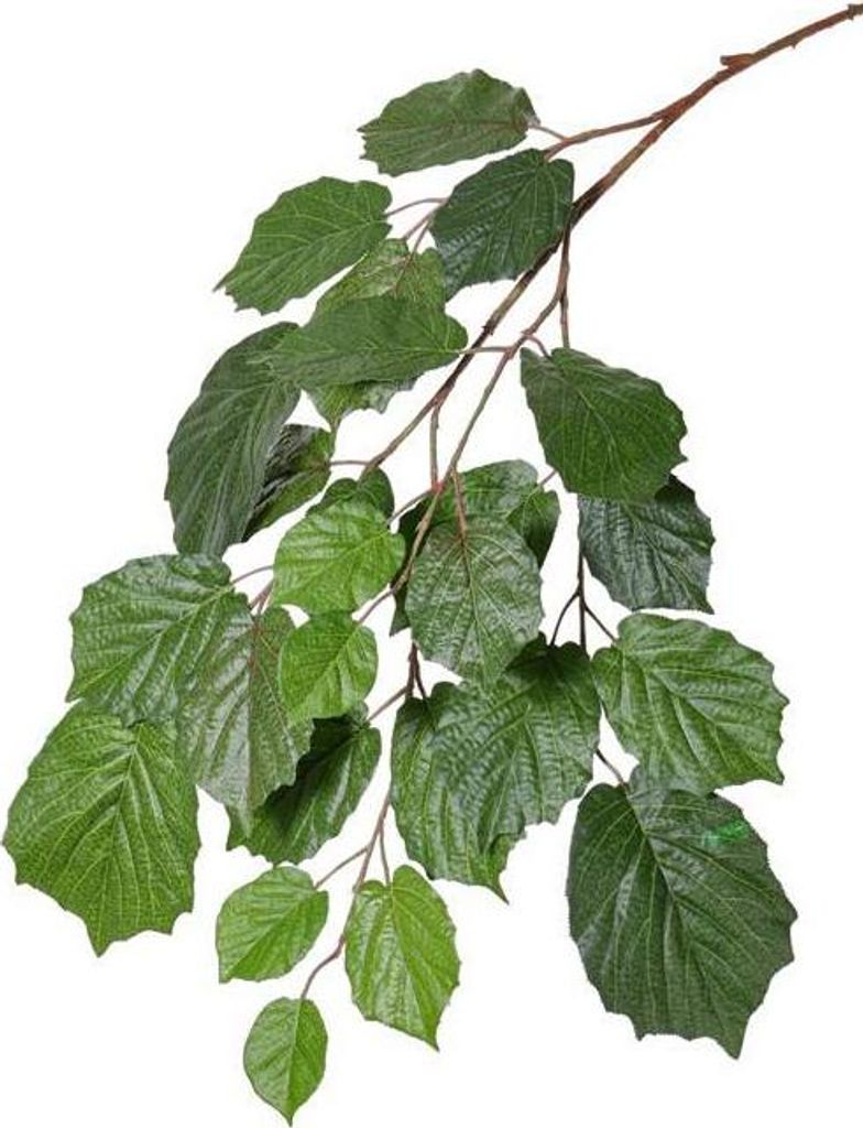 artplants.de Deko Zweig Lindenzweig ANJING, grün, schwer Produktbild 
