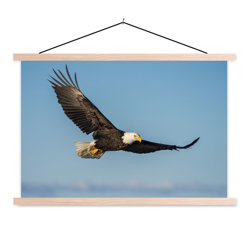 MuchoWow Textilposter Vogel - Adler - Raubvögel 60x40 cm mit holzfarbenen Rahmen - Bilder