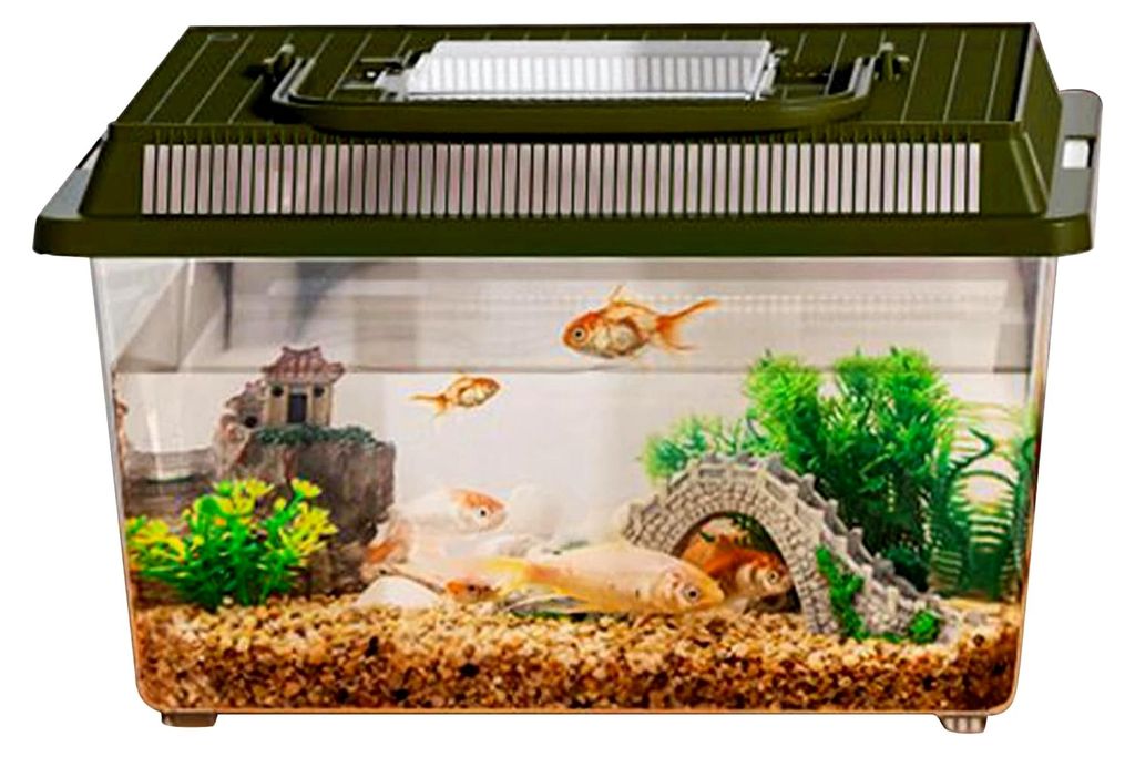 Terrarium für Reptilien | Zucht für kleine Reptilien und transparente Transportbox mit Griff für Geckos, Krabben und Paguri
