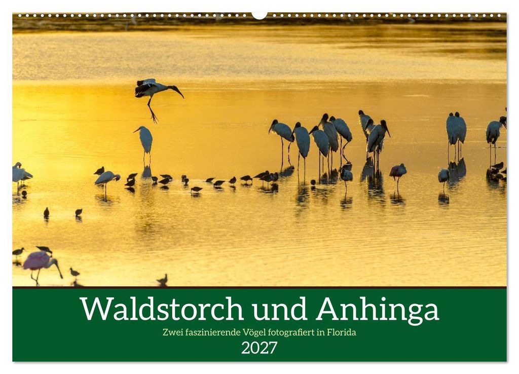 Waldstorch und Anhinga (Wandkalender 2027 DIN A2 quer), CALVENDO Monatskalender