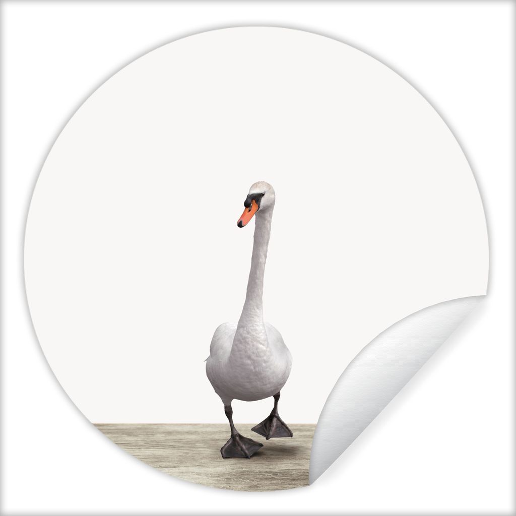 MuchoWow Runde Wandtattoo - Wandsticker Tapete Aufkleber Schwan - Tiere - Vogel - Jungen - Mädchen - Kinder Ø 30 cm Selbstklebend und Repositio...
