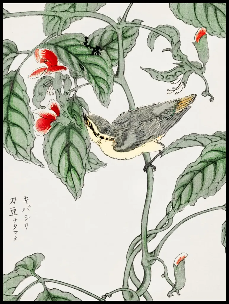 Numata Kashu Tree-Creeper: Poster Storico Giapponese 75x100cm Vintage