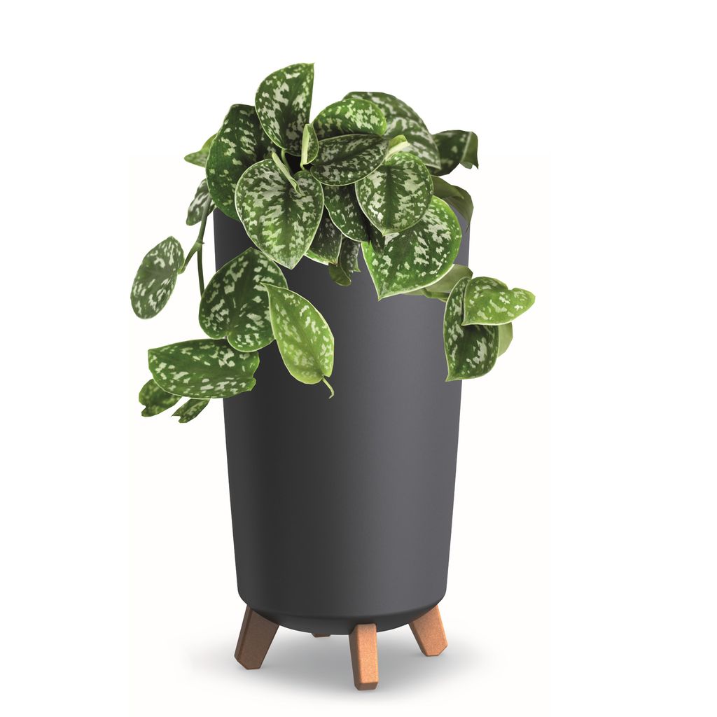Blumentopf mit Füßen Hoh Tube Pflanzkübe D 20 cm aus Kunststoff matte Anthrazit Übertöpfe Geldbaum Kakteen Gummibaum Glücksfeder