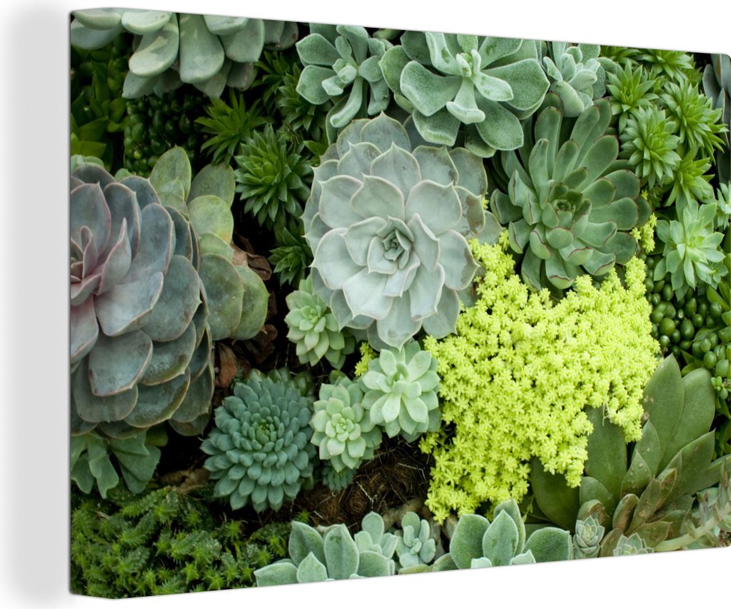 OneMillionCanvasses - Leinwandbilder - 140x90 cm, Ein grünes und gelbes Blumenmuster, Wandbilder Kunstdruck Wanddekoration - Foto auf Leinwand -...