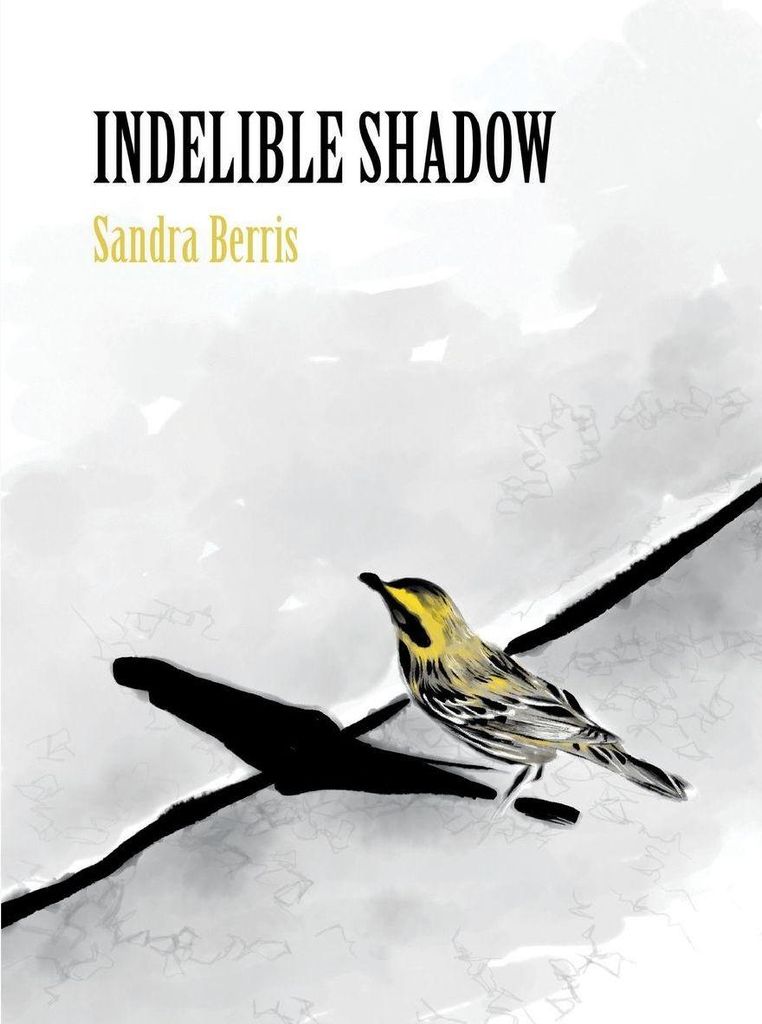 Indelible Shadow