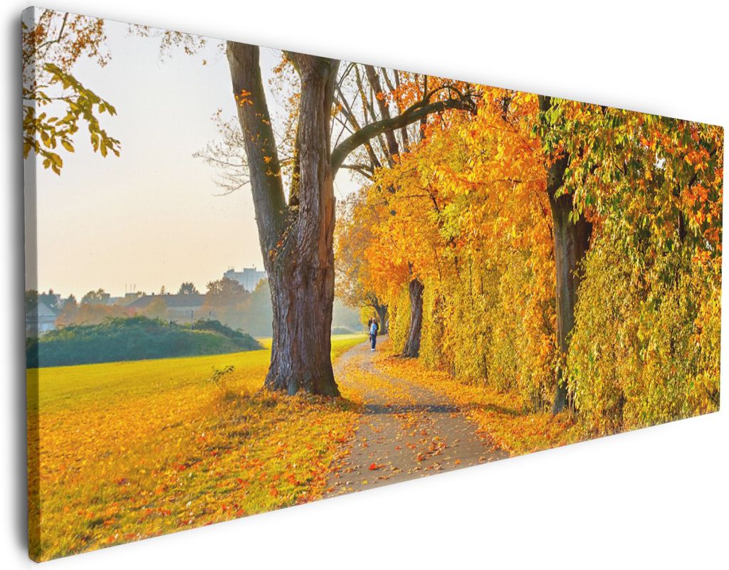 Wallario Premium Leinwandbild Herbstlicher Waldweg mit Produktbild 
