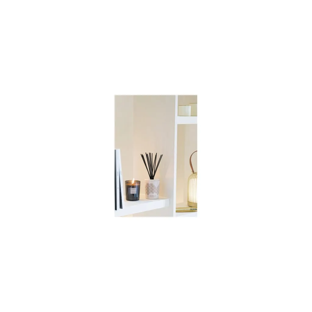 Parfum d'ambiance Iris Cachemire 500ml Esteban, grand format XL - 2
