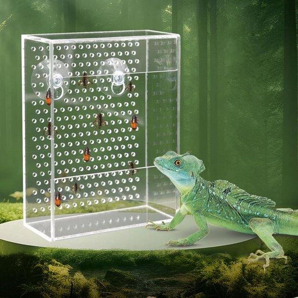 Wandmontiertes Insektfuttergerät aus Acryl für Terrarien
