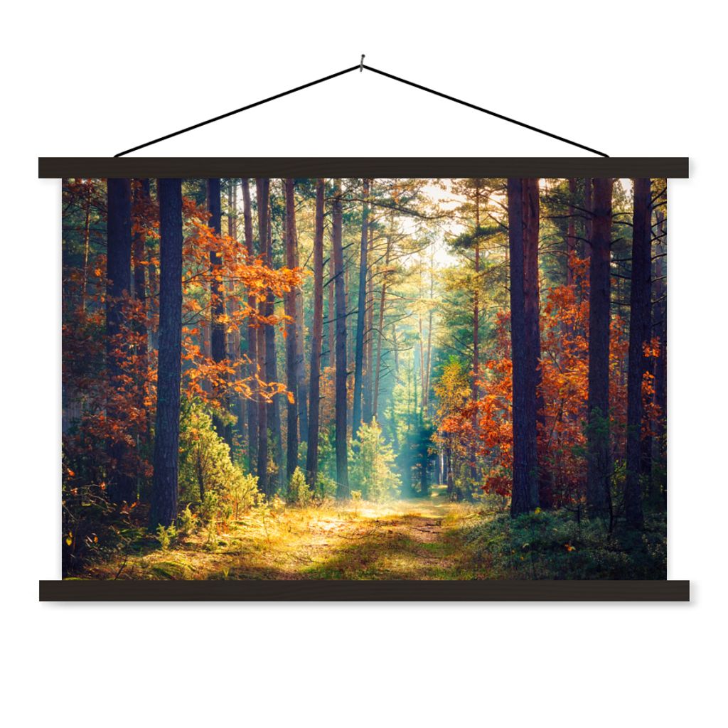 MuchoWow Textilposter Wald - Sonne - Natur - Herbst 120x80 cm mit schwarzem Rahmen - Wanddeko