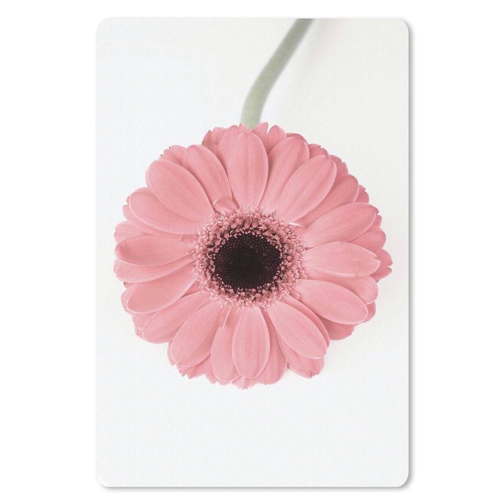 MuchoWow Mauspad Mousepad Blume - Rosa - Natur - Pflanze 40x60 cm - Mousepads - Maus Mat - Pad - Mausunterlage - Schreibtisch Accesoire