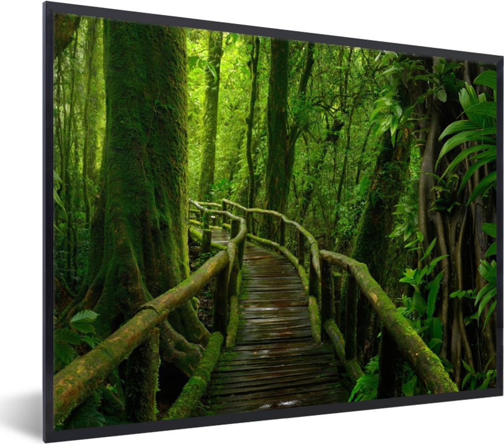 MuchoWow Gerahmtes Poster Dschungel - Brücke - Moos - Natur - Tropisch 80x60 cm - Poster mit Schwarzem Bilderrahmen Wandposter Rahmen Foto Bilde...
