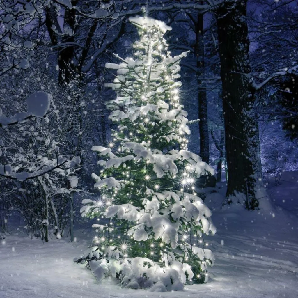 Guirlande de Noël 350 LED blanc froid étanche IP44 - 10 brins x 35 LED