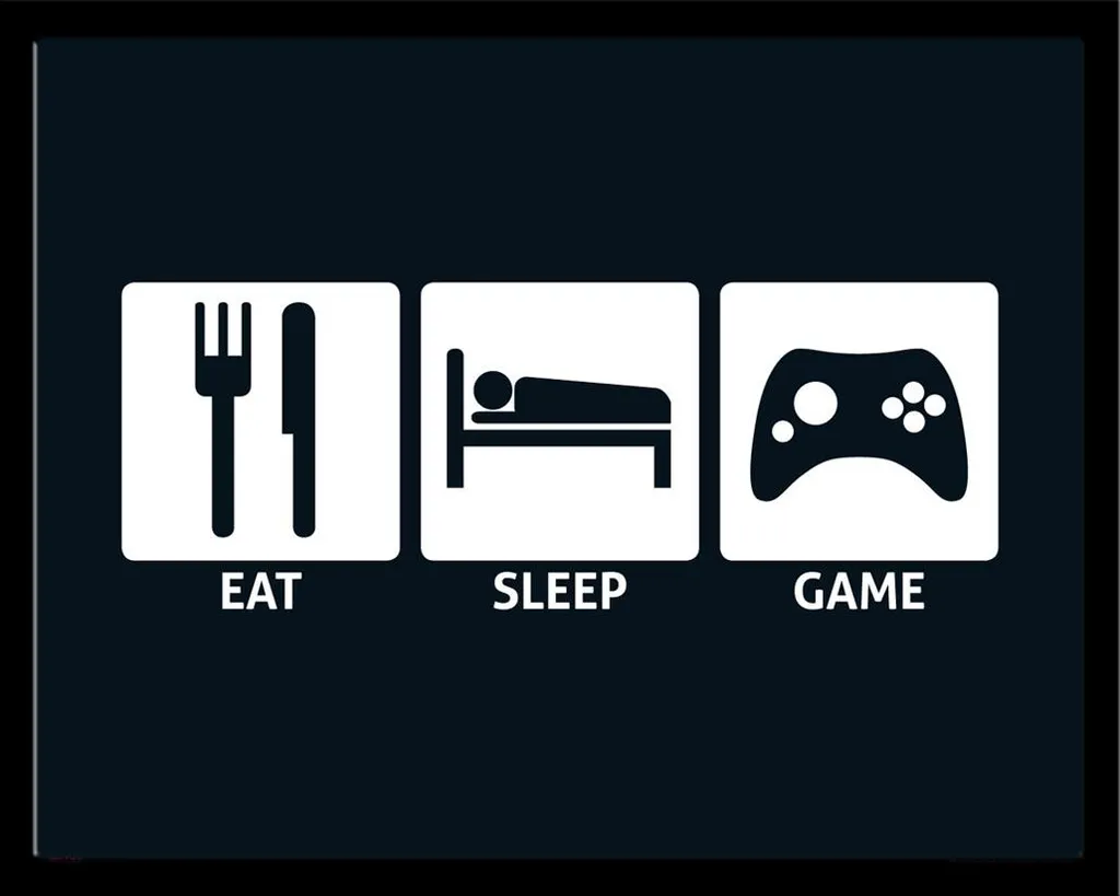 Poster Gaming Eat Sleep Game avec Vitre Acrylique et Cadre Noir Shinsuke