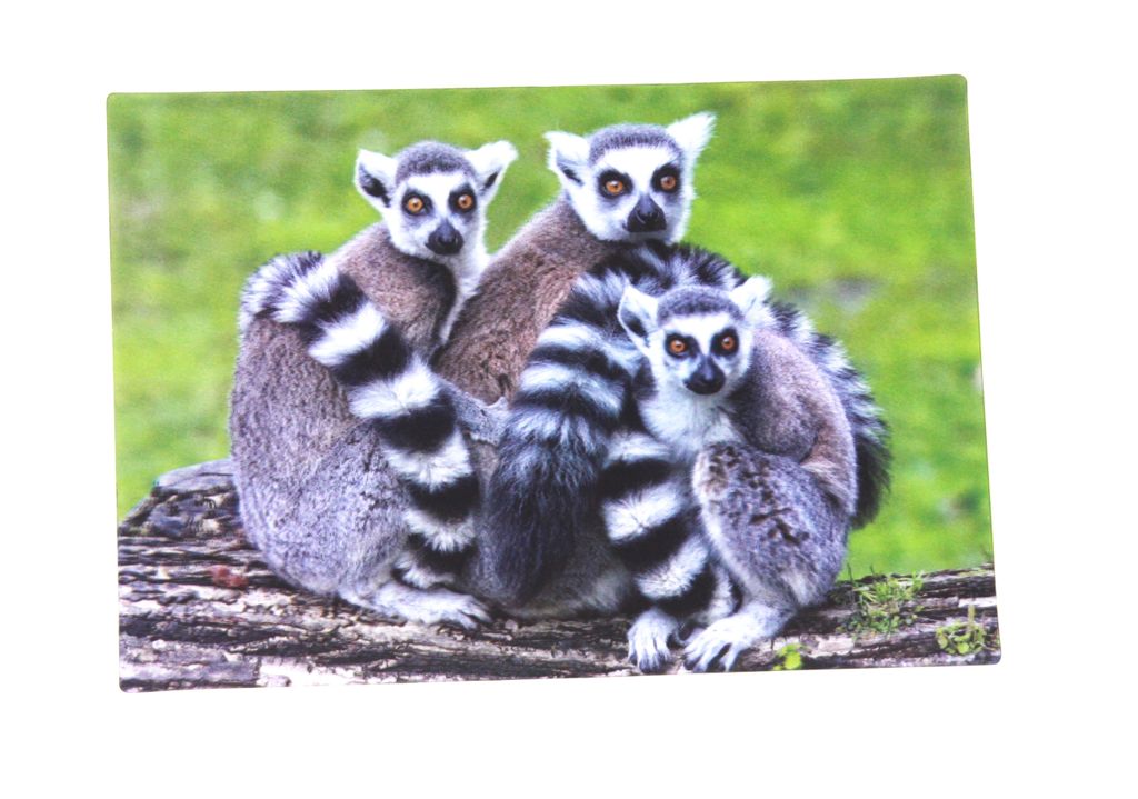 3 D Ansichtskarte Kattas, Postkarte Wackelkarte Produktbild 