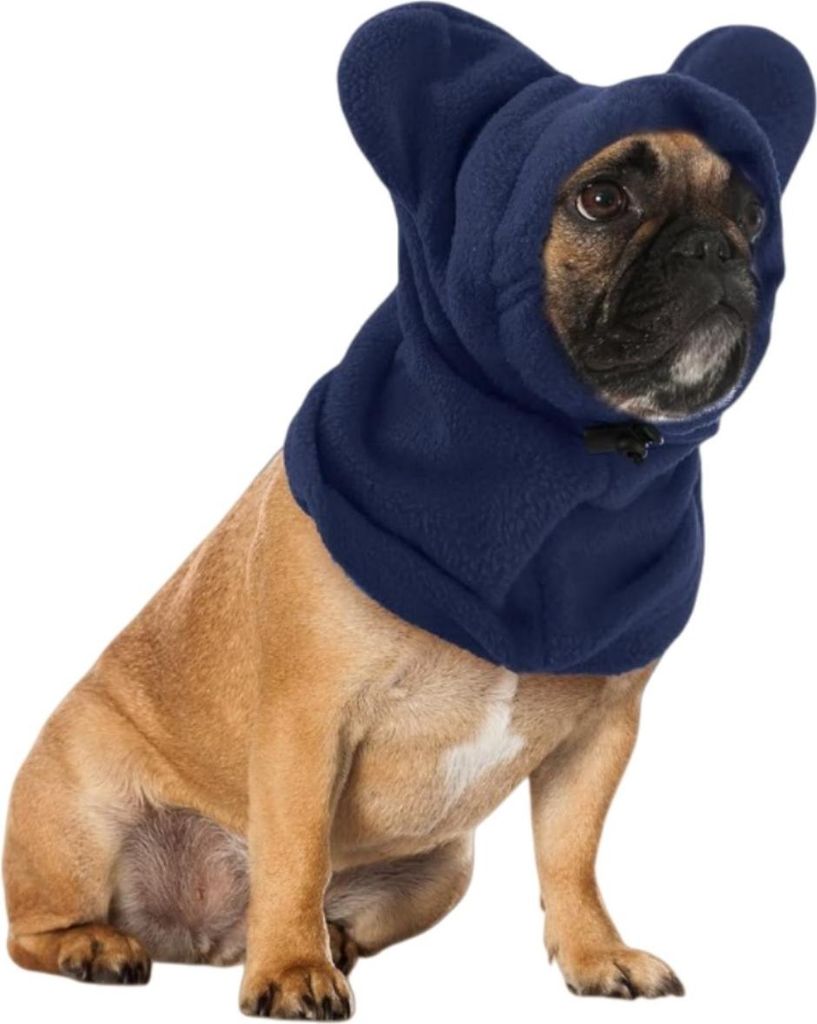 INF Plüsch Tier Wintermütze - Warmer Hunde Snood mit Ohrenschützern Blau M