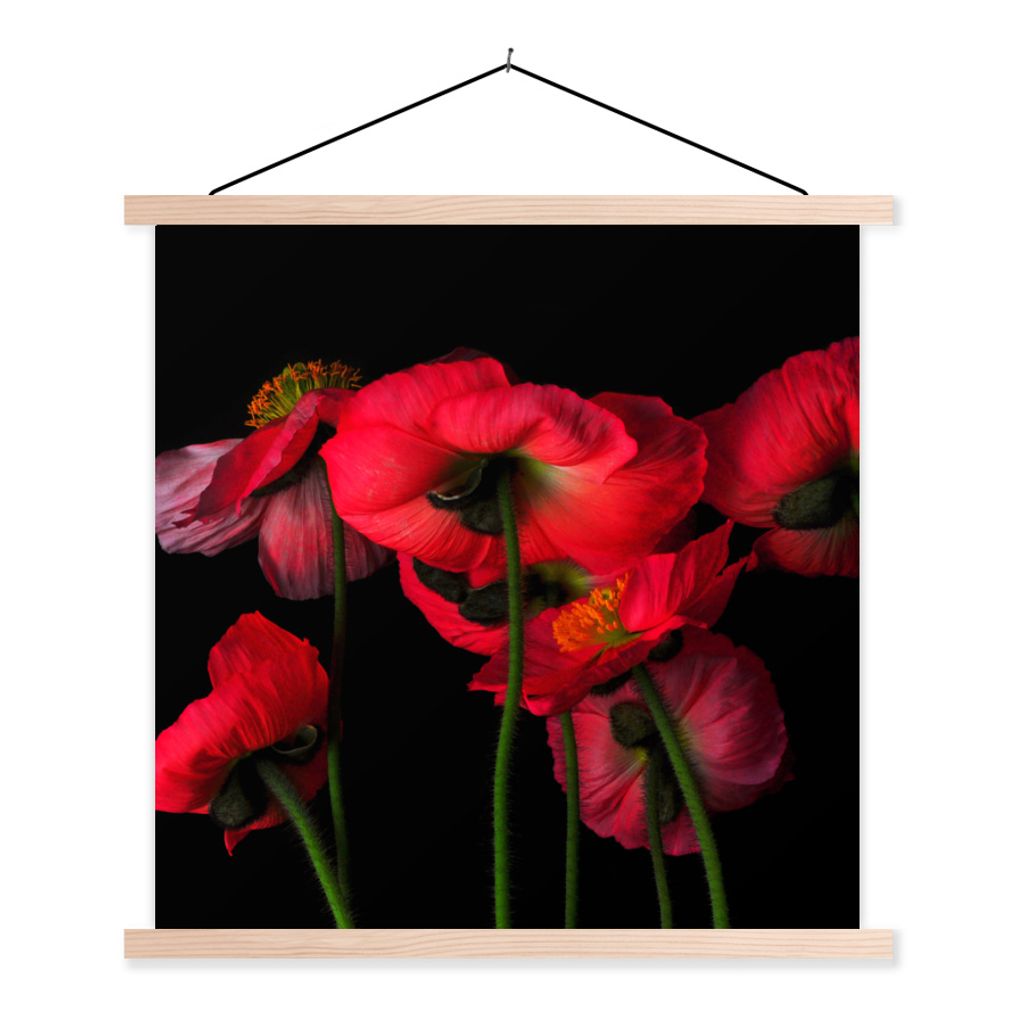 MuchoWow Textilposter Die isländischen Mohnblumen auf schwarzem Hintergrund 120x120 cm mit holzfarbenen Rahmen - Textil-Poster