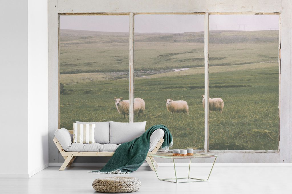 MuchoWow Fototapete für Wohnzimmer oder Schlafzimmer Wandtapete Vinyl Motivtapete Durchschauen - Schafe - Gras - 330x220 cm - Fototapeten