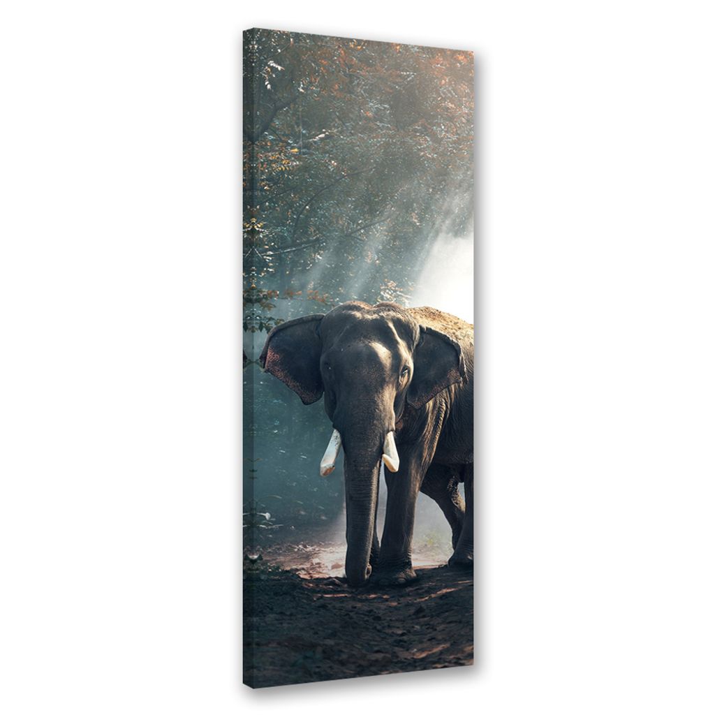 Leinwandbild Elefant im Dschungel 50x150 Feeby Grau bild für die wand bereit zum aufhängen