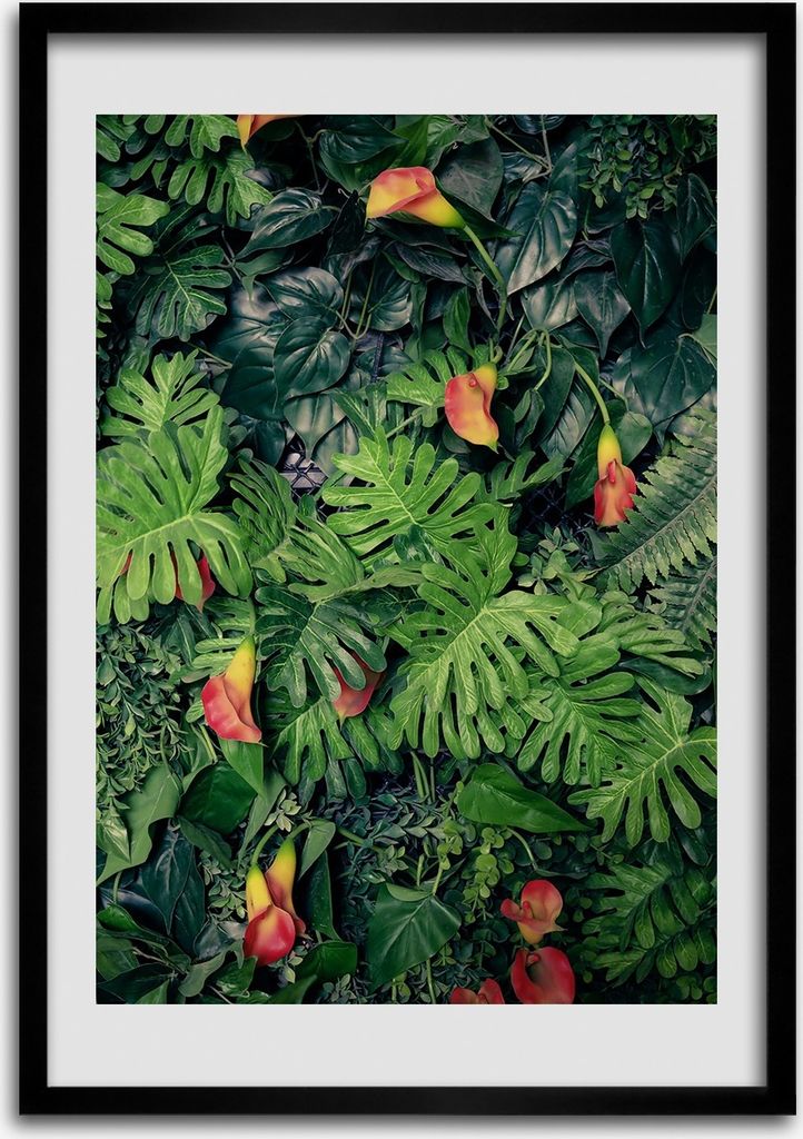 Bild - Bilderrahmen - Foto - 70 cm x 100 cm - MDF - Rahmen - Wandkunst - Tropische Pflanzen