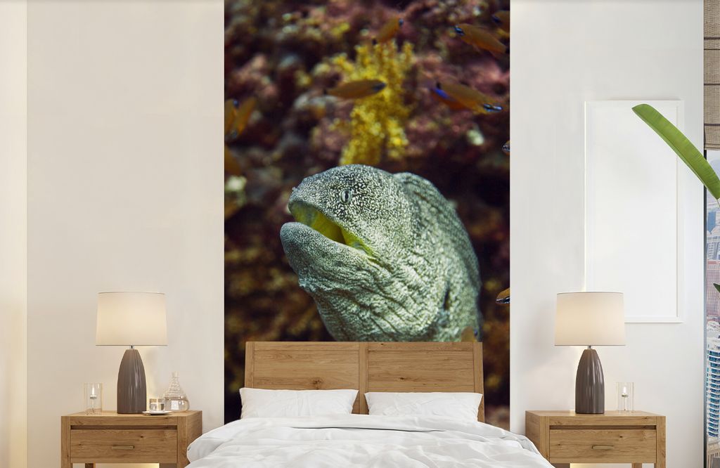 MuchoWow Fototapete für Wohnzimmer oder Schlafzimmer Wandtapete Vinyl Motivtapete Fische - Korallen - Ozean - 120x240 cm - Hintergrundbild