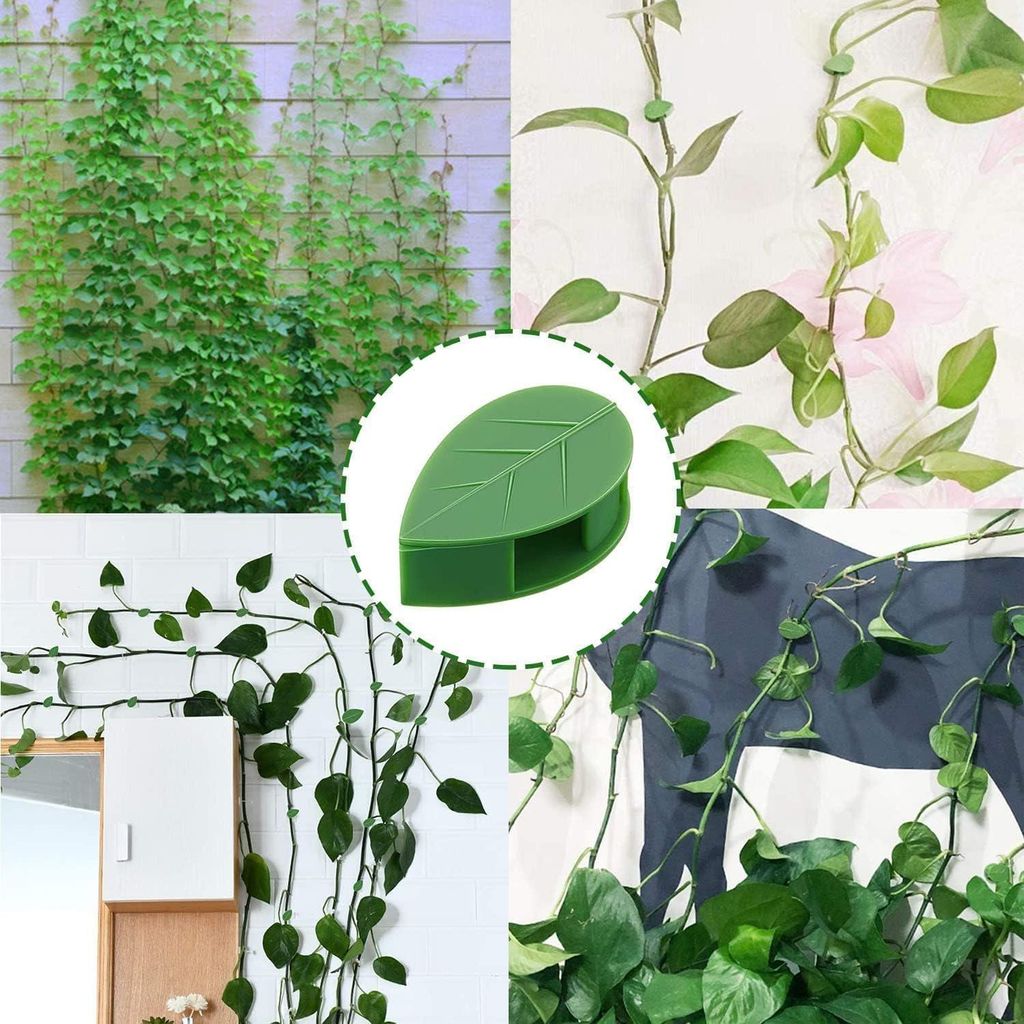 Pflanzenclips für die Wand - 40 Stück Grüne Pflanzenhalter Wandclips Kletterhilfe für Kletterpflanzen Gartenarbeit Pflanzenunterstützung