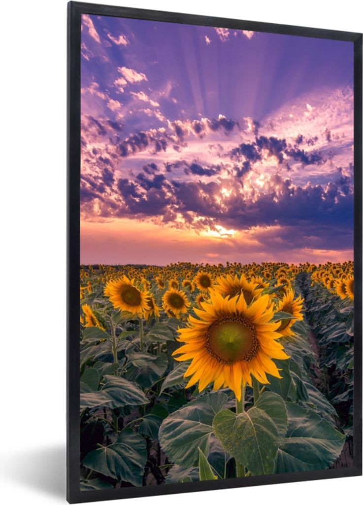 MuchoWow Gerahmtes Poster Blumen - Himmel - Lila - Sonnenuntergang 40x60 cm - Poster mit Schwarzem Bilderrahmen Wandposter Rahmen Foto Bilder - P...