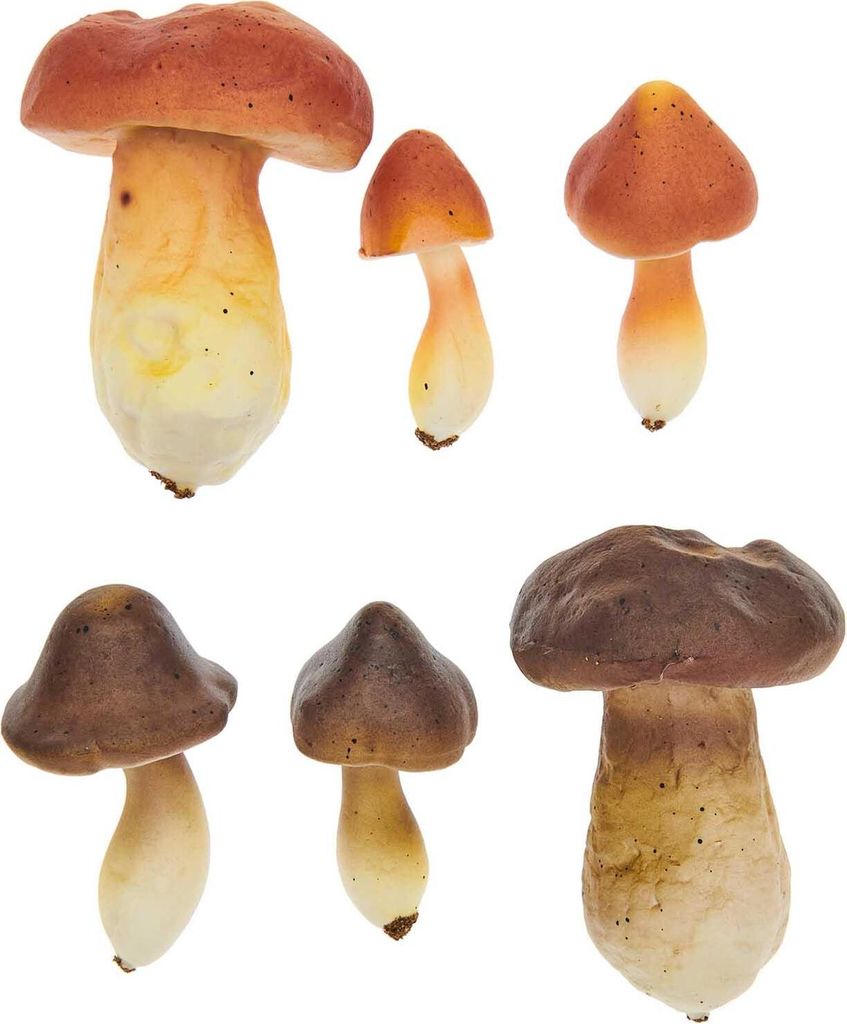 Deko-Pilze, Polystyrol, Braun/Karamell, 6 - 9 cm x 2,5 - 6 Produktbild 