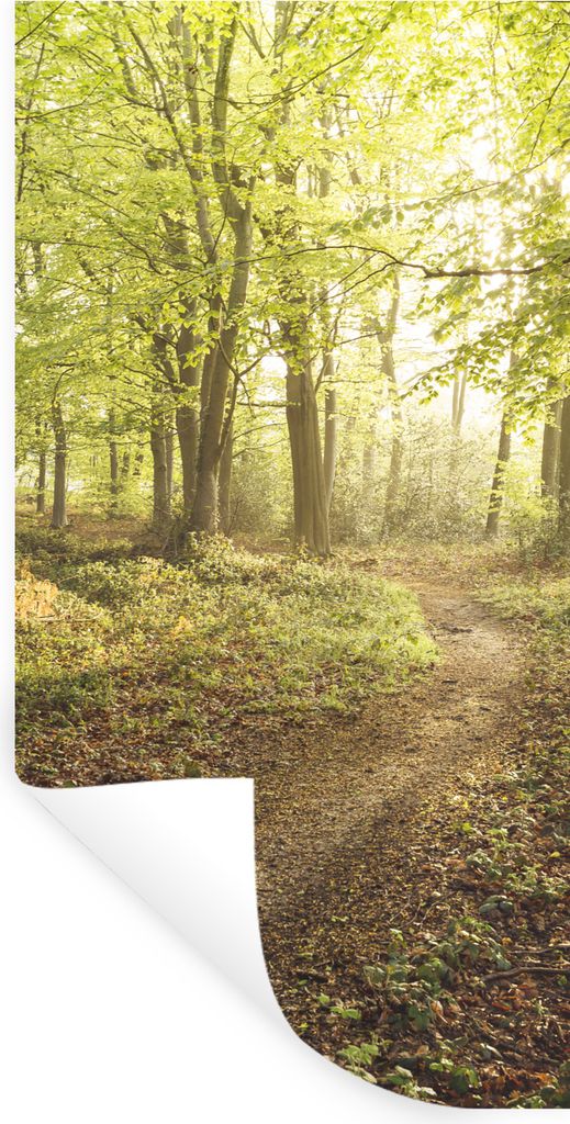 MuchoWow Wandtattoo Wandsticker Wandaufkleber Wald - Weg - Sonnenaufgang 40x80 cm Selbstklebend und Repositionierbar - Repositionierbar - Wasser ...