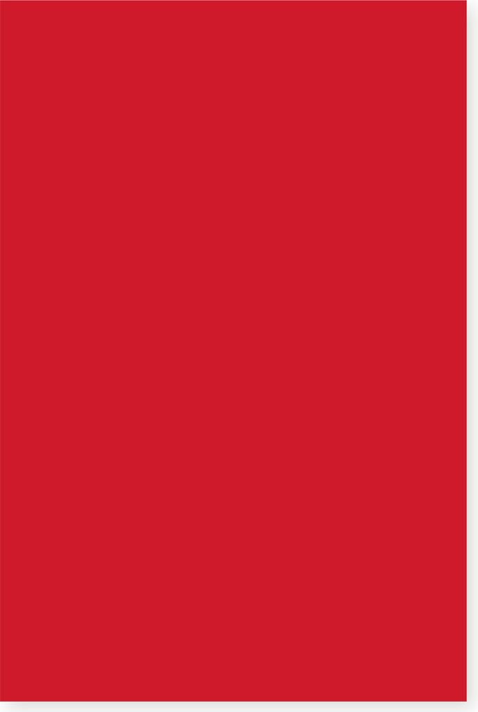 Tonkarton,  50 x 70 cm, 220 g/m² Rot Produktbild 