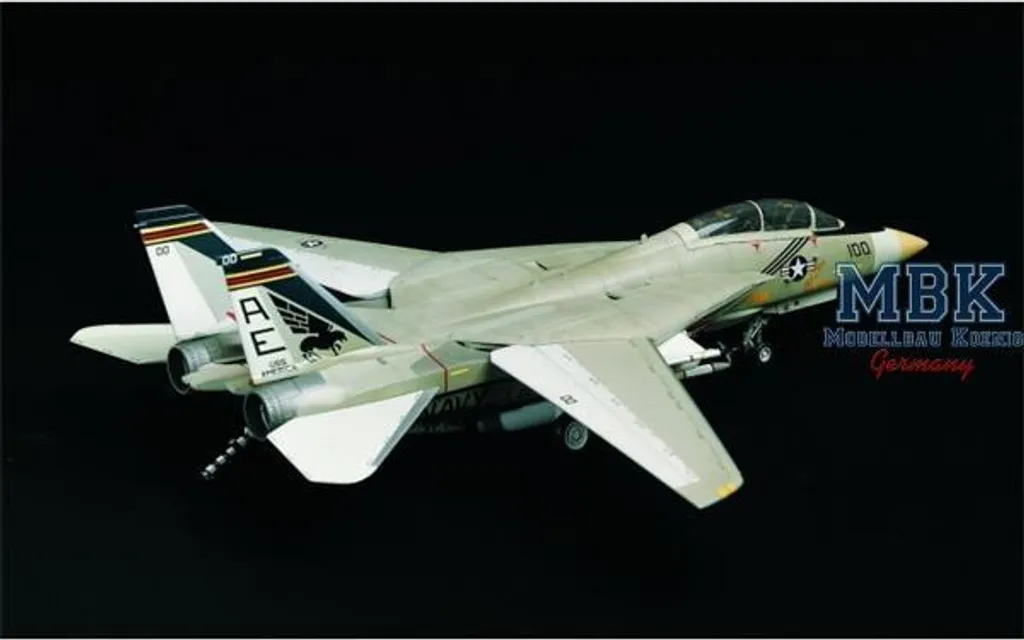 F-14A Tomcat 12253, Maquette 1/48 à Géométrie Variable Très Détaillée - 4