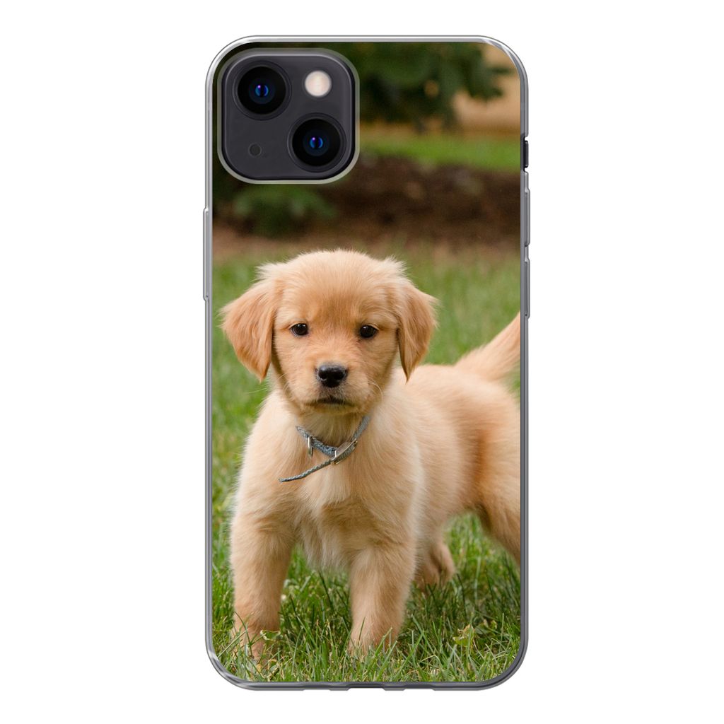 MuchoWow Handyhülle Schutzhülle Hülle für iPhone 13 Golden Retriever Welpe im grünen Gras Silikon Softcase Handy Hülle - Karteninhaber