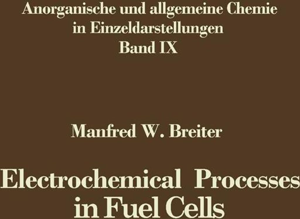 Electrochemical Processes in Fuel Cells