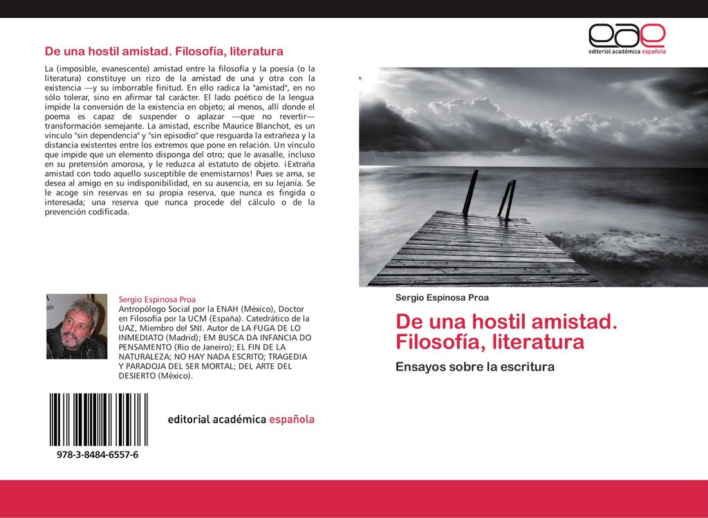 De una hostil amistad. Filosofía, literatura