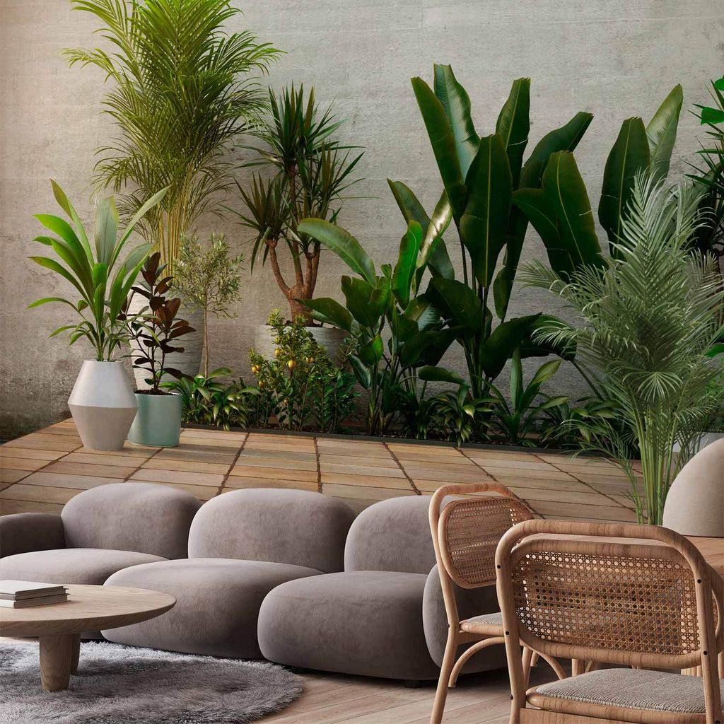 Vlies Fototapete - Home Garden 150x105 cm Blätter b-B-0600-a-a