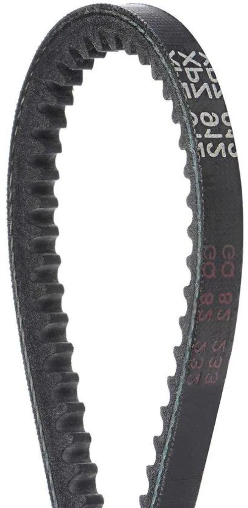 Courroie trapézoïdale robuste 1250mm, haute résistance thermique