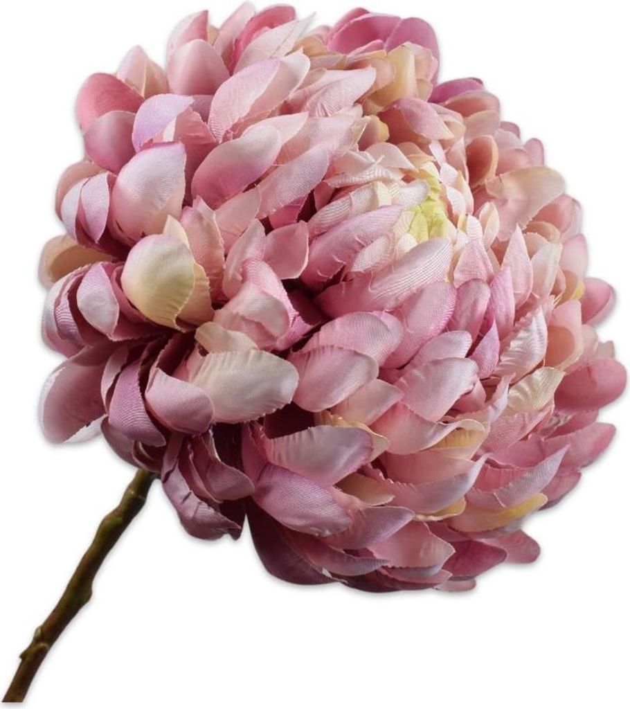 Silk-ka Kunstblume Chrysanthemenzweig rosa-creme 64 cm Produktbild 