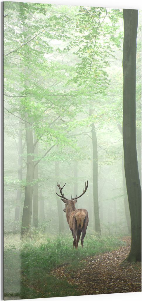 DEQORI Magnettafel Glas 50x100 cm 'Hirsch zwischen Bäumen' beschreibbar Whiteboard