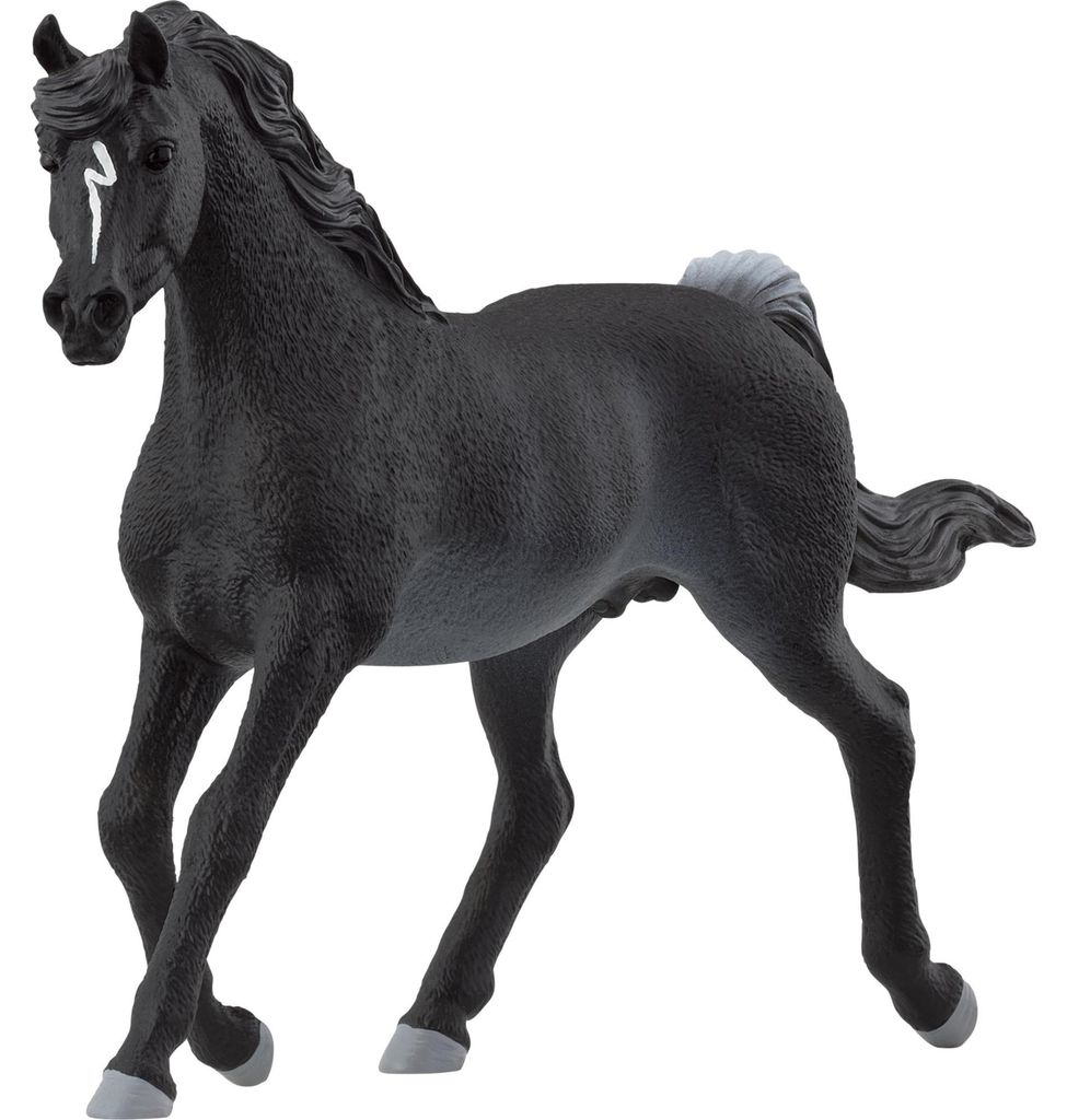 schleich HORSE CLUB 13981, 5 lat(a), Horses, Czarny, Szary, Zdjęcie produktu 