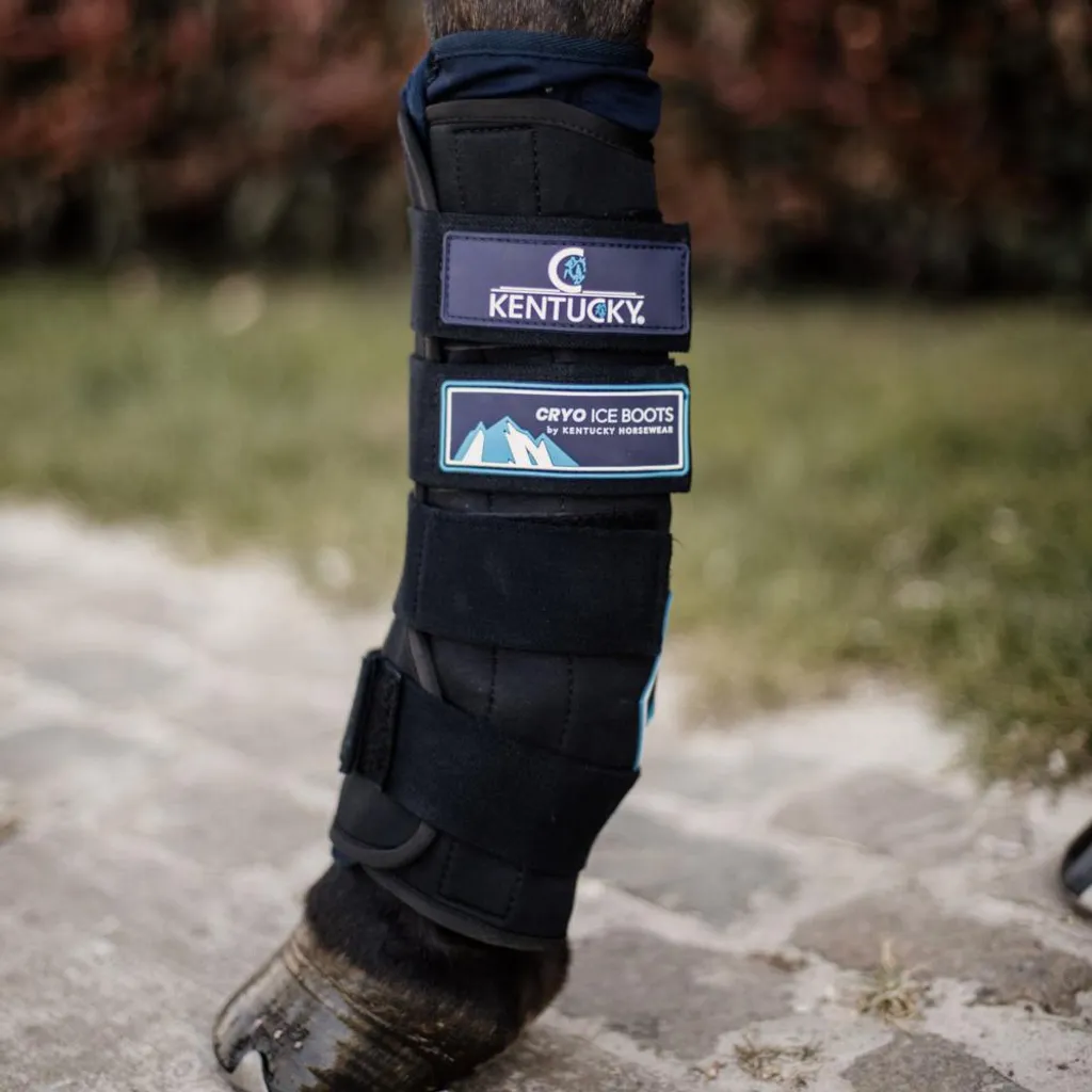 Kentucky Cryo Ice Boots Noir - Bottes de Froid Réutilisables pour Cheval
