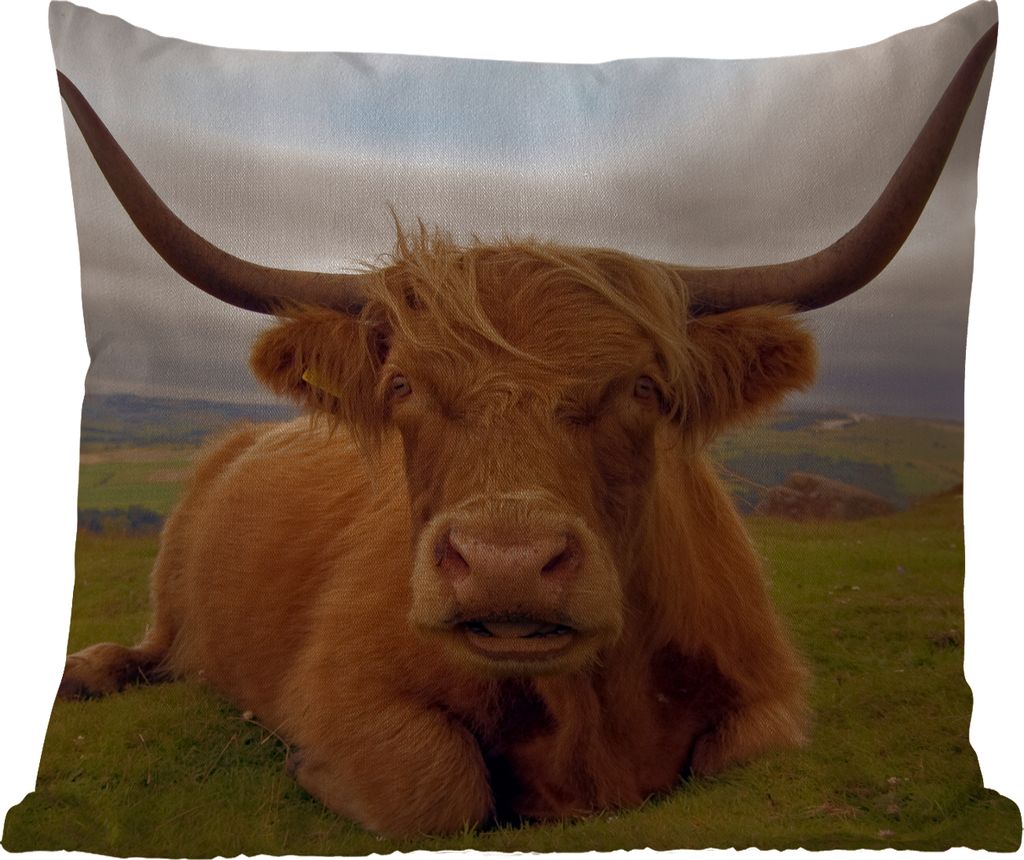MuchoWow Outdoor Kissen - Schottisches Hochlandrind - Tiere - Berg - 50x50 cm - Wetterfest - Lounge Kissen - Komfortabel - Kissen mit Bild