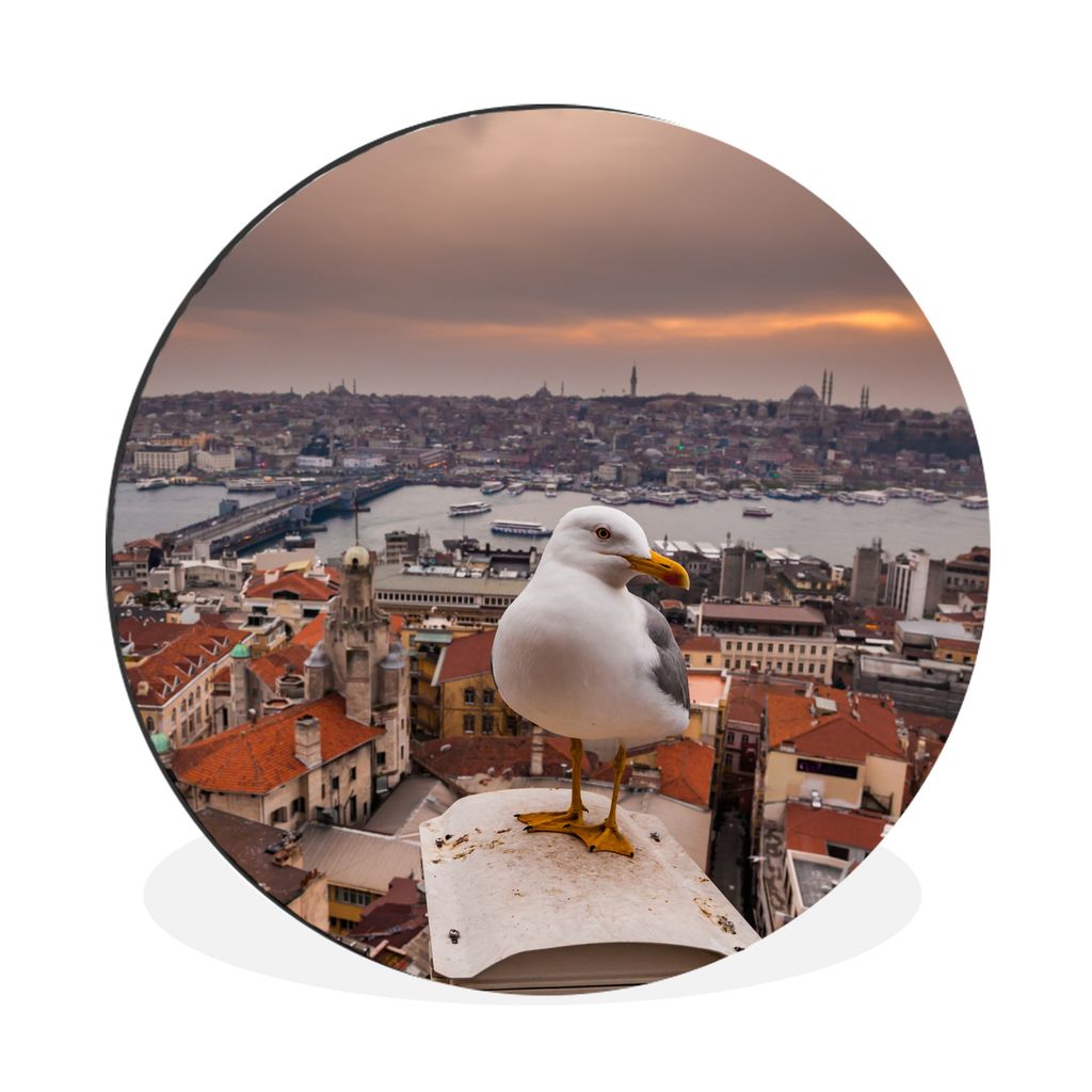 MuchoWow Aluminium Wandkreis Seemöwe - Istanbul - Architektur Ø 90 cm Wanddeko Modern Wohnzimmer - Mauerkreis - Wandbilder - Runde Bild - Bild ...