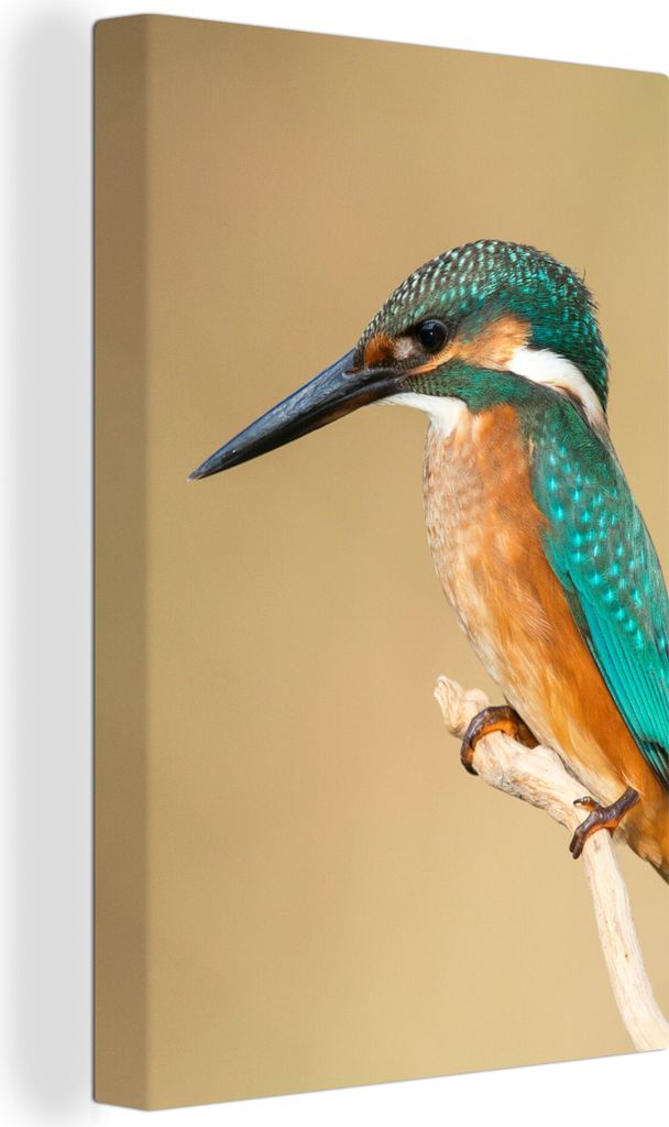 OneMillionCanvasses - Leinwandbilder - 90x140 cm, Eisvogel - Tiere - Vogel, Wandbilder Kunstdruck Wanddekoration - Foto auf Leinwand - Gemälde a...