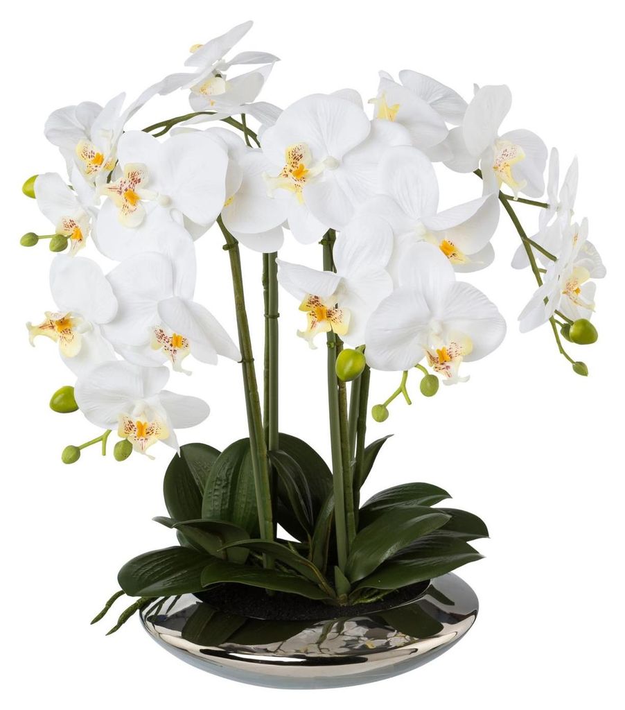 künstliche Orchidee Phalaenopsis H. 41cm weiß in silberner Produktbild 