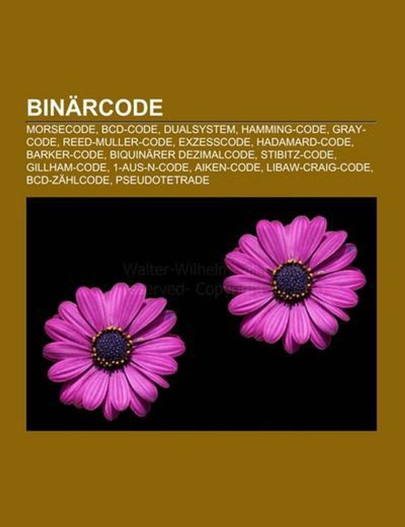 Binärcode
