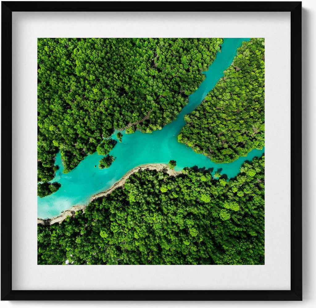 Vogelperspektive auf einen Fluss in einem tropischen Wald– Wandbild mit Rahmen – Gerahmtes Bild – Wanddekoration – 50x50 cm – Schwarz Rahmen