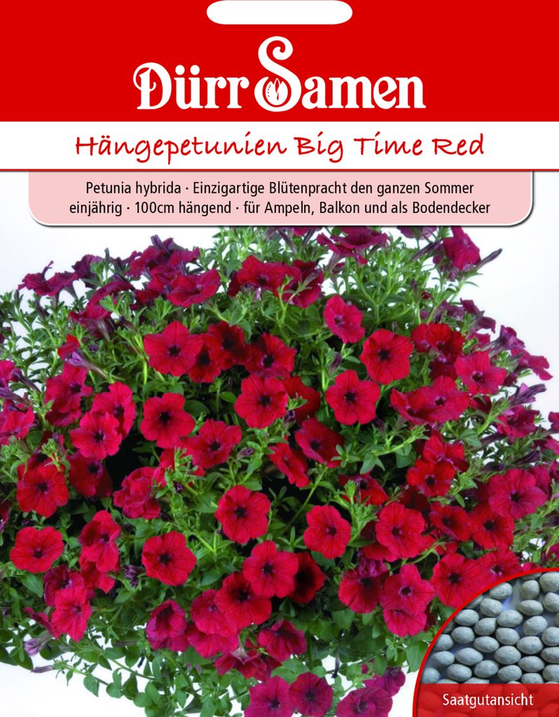 Dürr-Samen - Petunien Big Time Red einjährig 100 cm - Produktbild 3