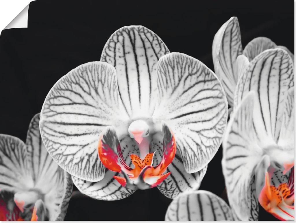 ARTland Poster Orchidee abstrakte Collage IV Größe: 40x30 cm