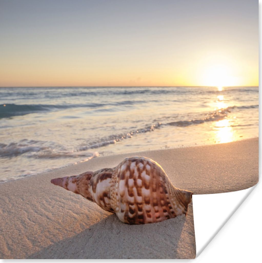 MuchoWow Poster Muschel - Strand - Himmel 100x100 cm - Babyzimmer